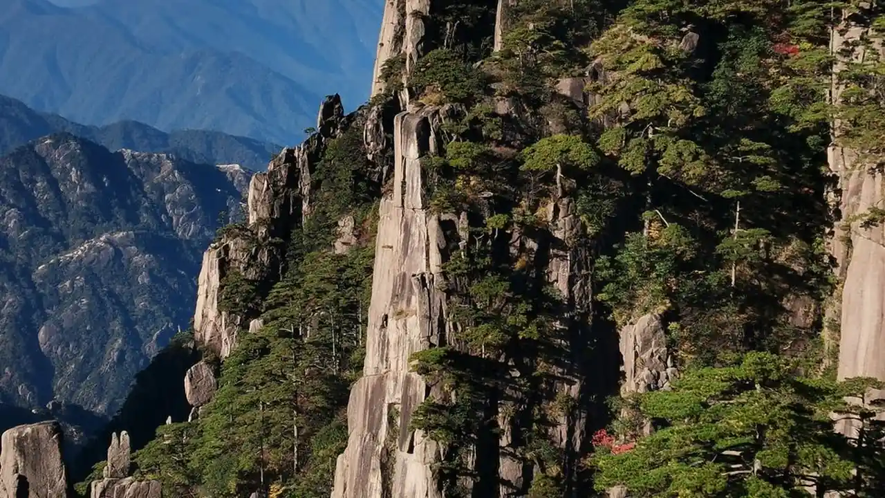 东京热app下载看片免费前要了解的几点
