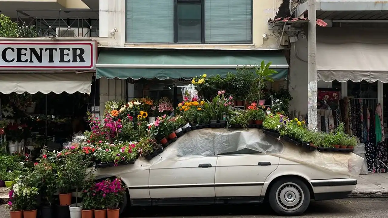 361电影网站在线观看使用说明及常见问题