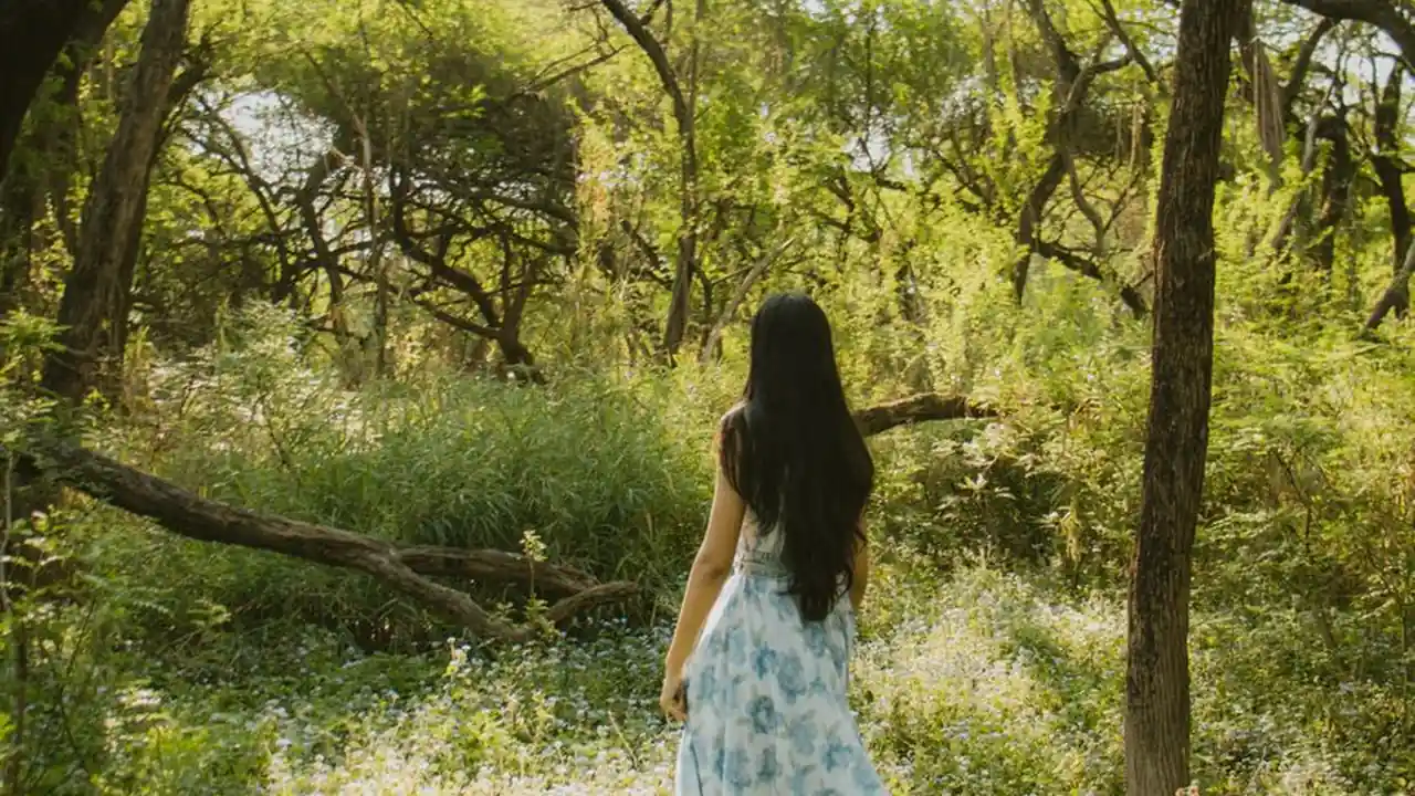 free天美video是什么以及使用中需要注意哪些问题