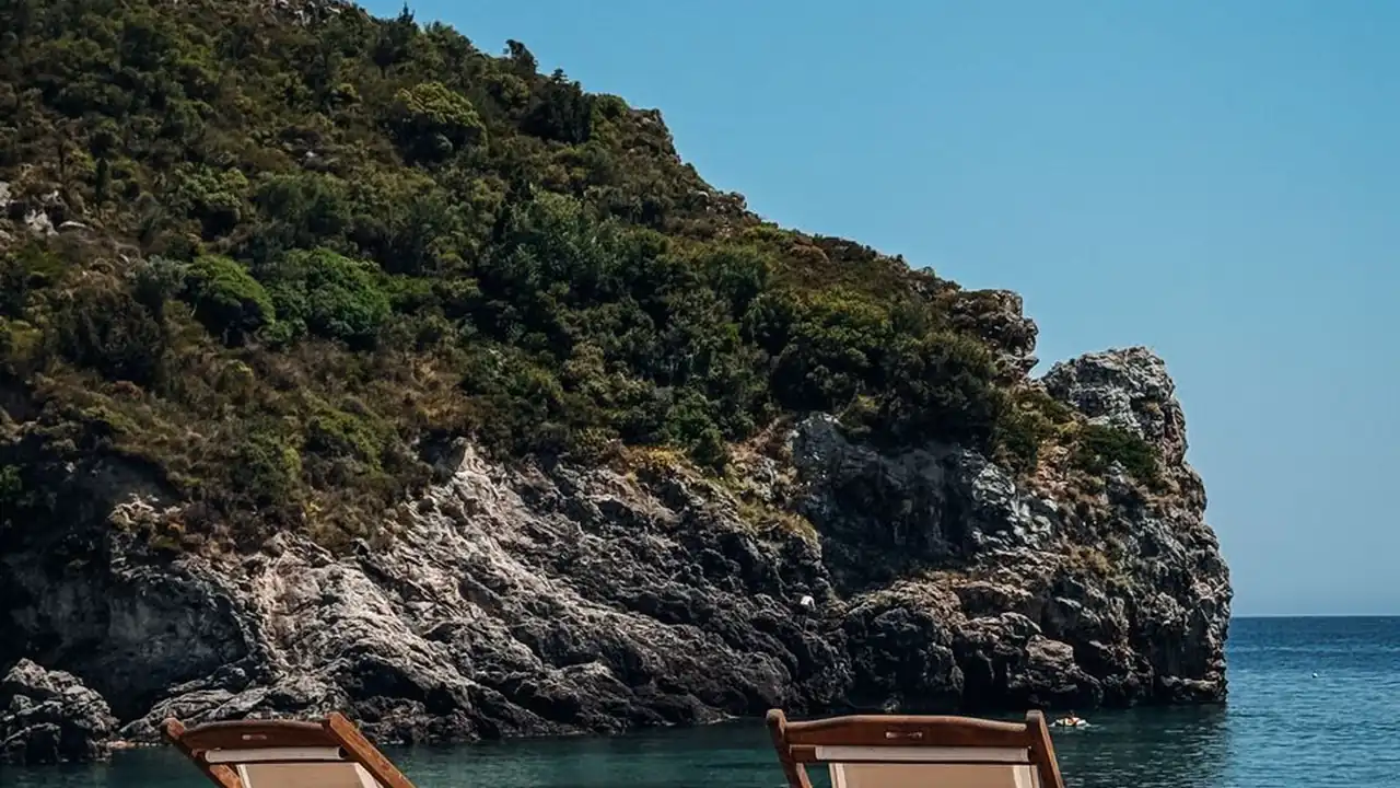 探讨九草视频在线观看的常见问题与适用条件