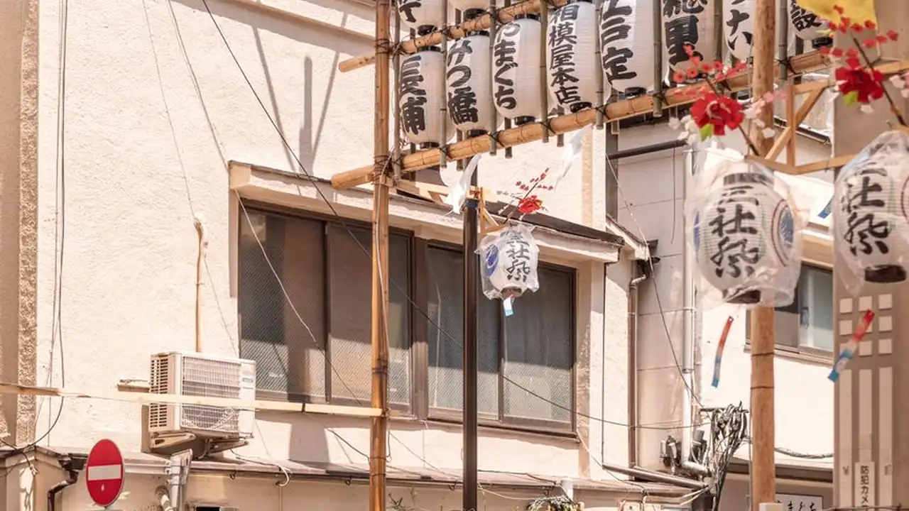 如何辨别真实的17c网站官方版及其适用场景