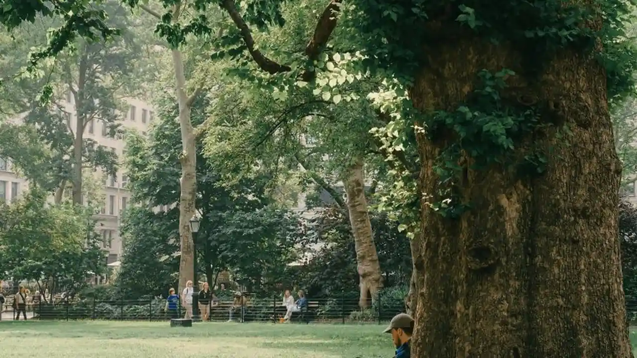 陈慧君头像