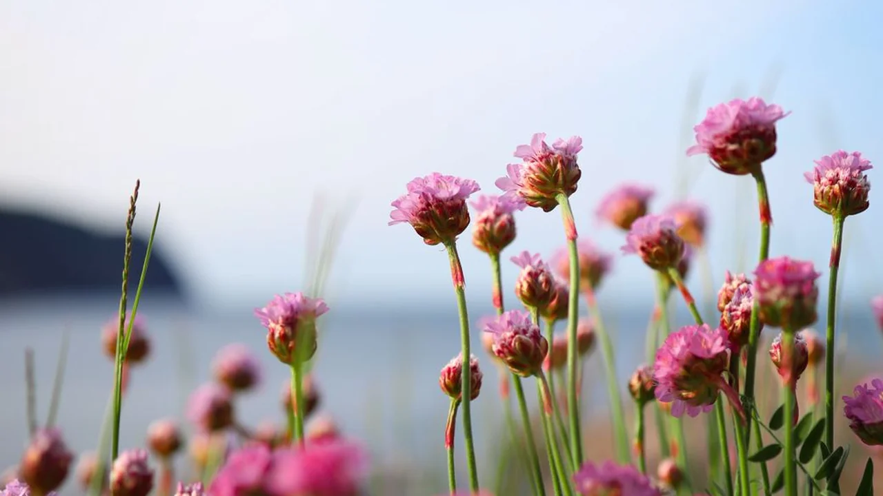 王芸茜头像